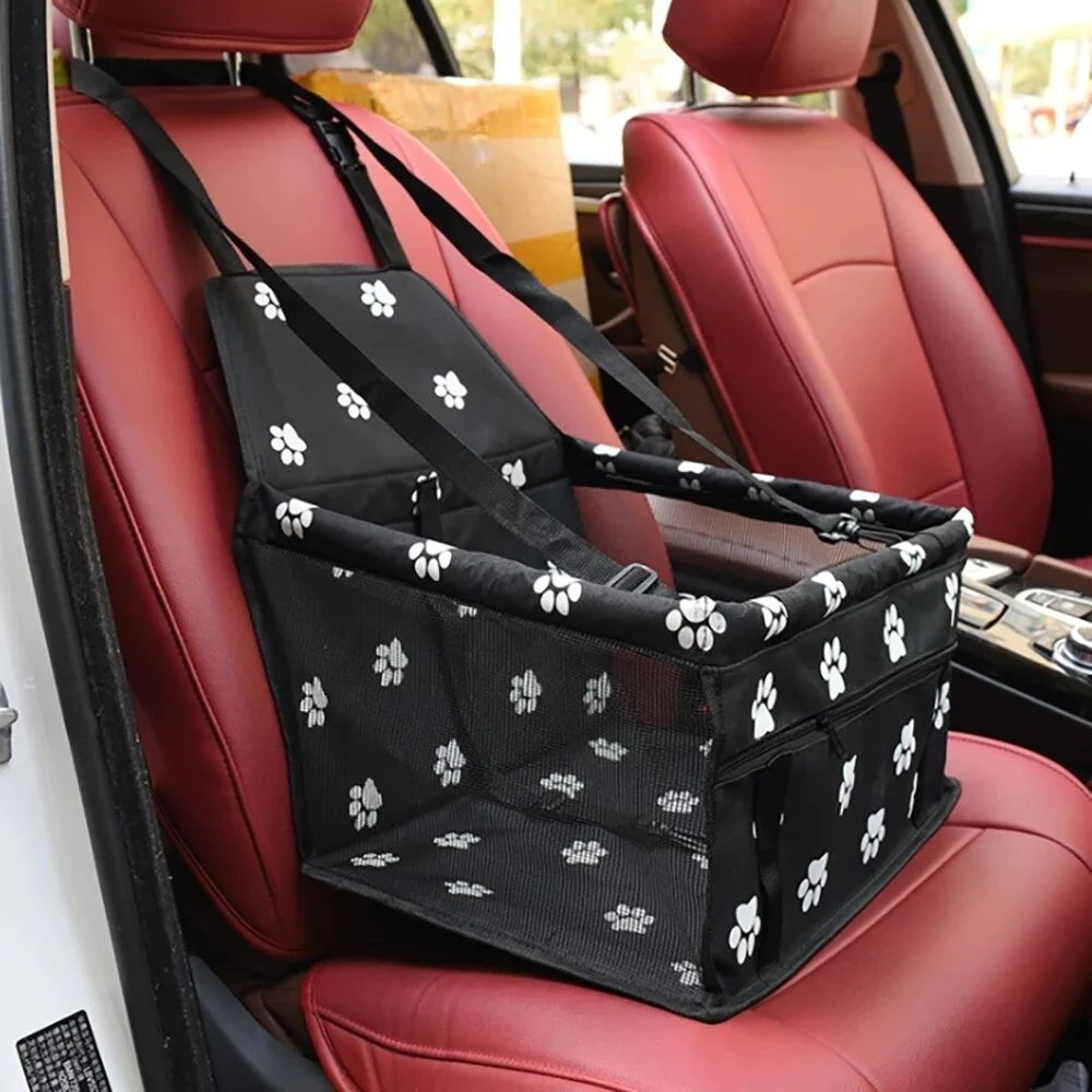 Discover all dog car accessories