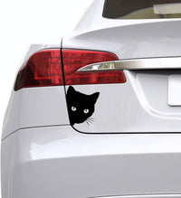 autocollant chat pour voiture